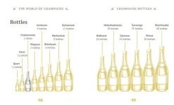 The Little Book of Champagne