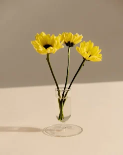 Tiny Vase-Clear