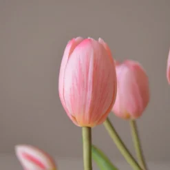 Tulip Bouquet