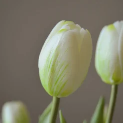 Tulip Bouquet