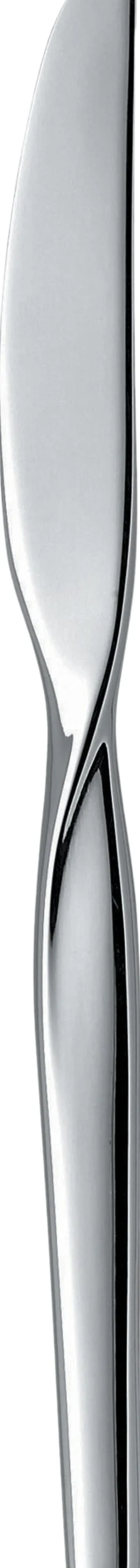 Twist bordkniv blank stål L21,6cm
