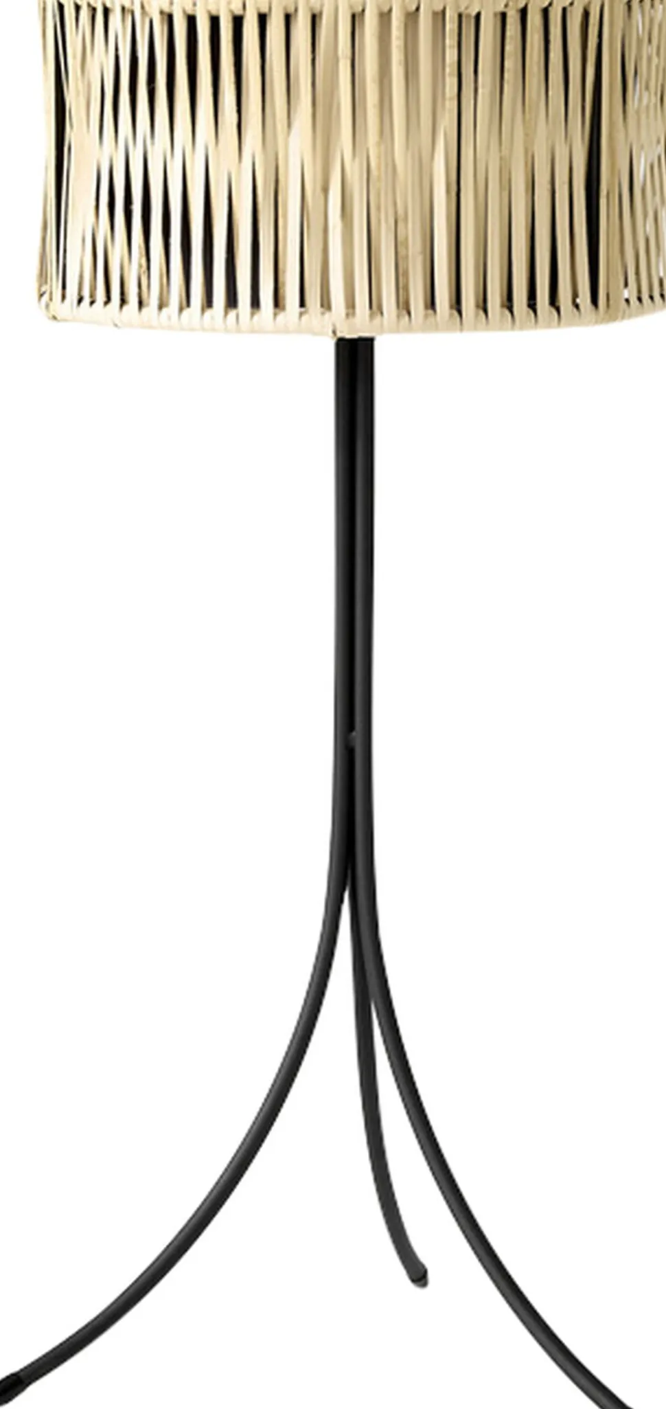 Umanoff, Planter, H 69