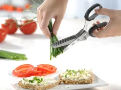 Urtesaks CUTARE