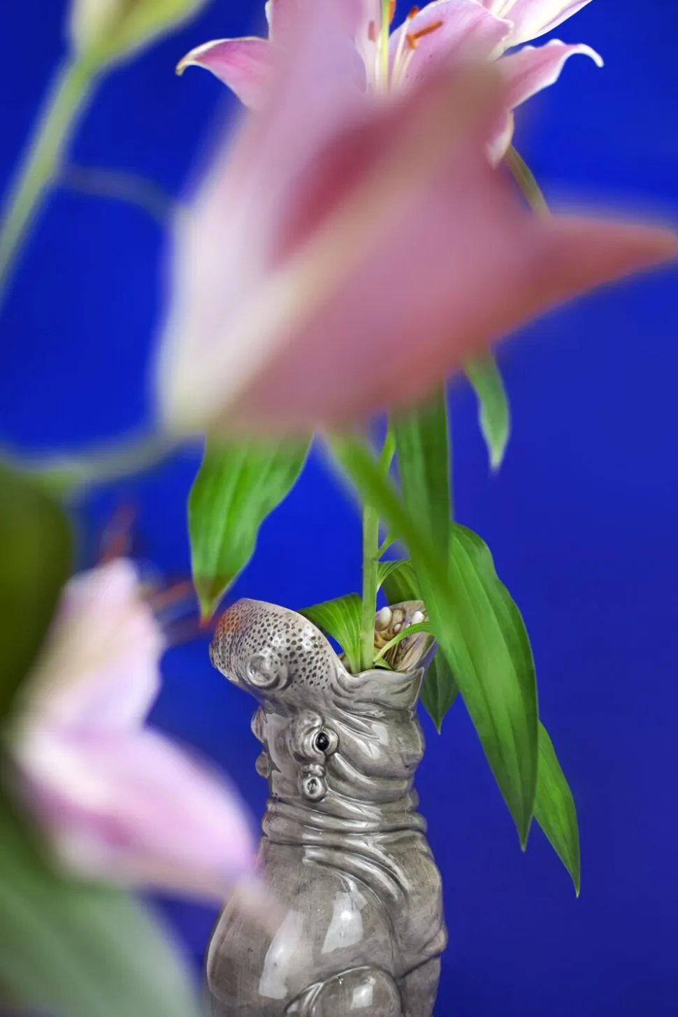Vase - Hungry Hippo