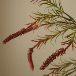Veronica Branch