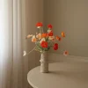 Wild Poppy Dance