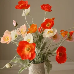 Wild Poppy Dance