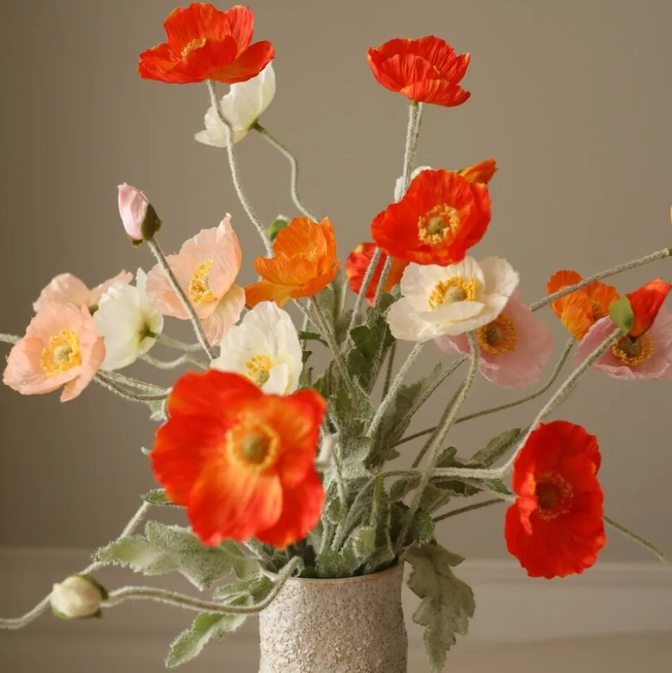Wild Poppy Dance